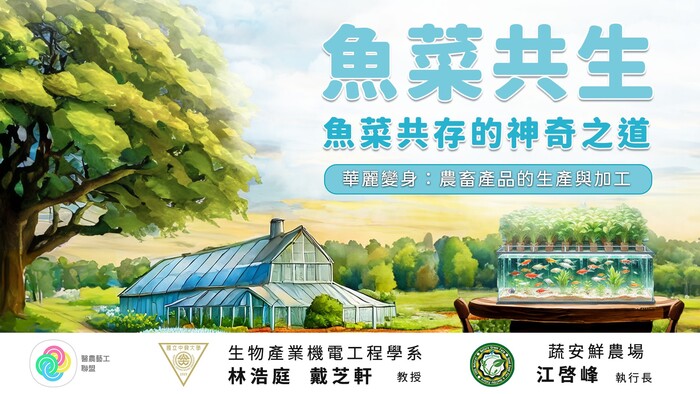 魚菜共生圖片